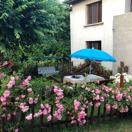 Guest House Emmy Trigrad Kültér fotó