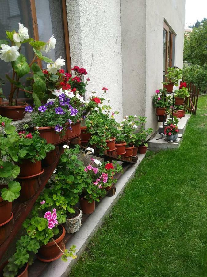 Guest House Emmy Trigrad Kültér fotó