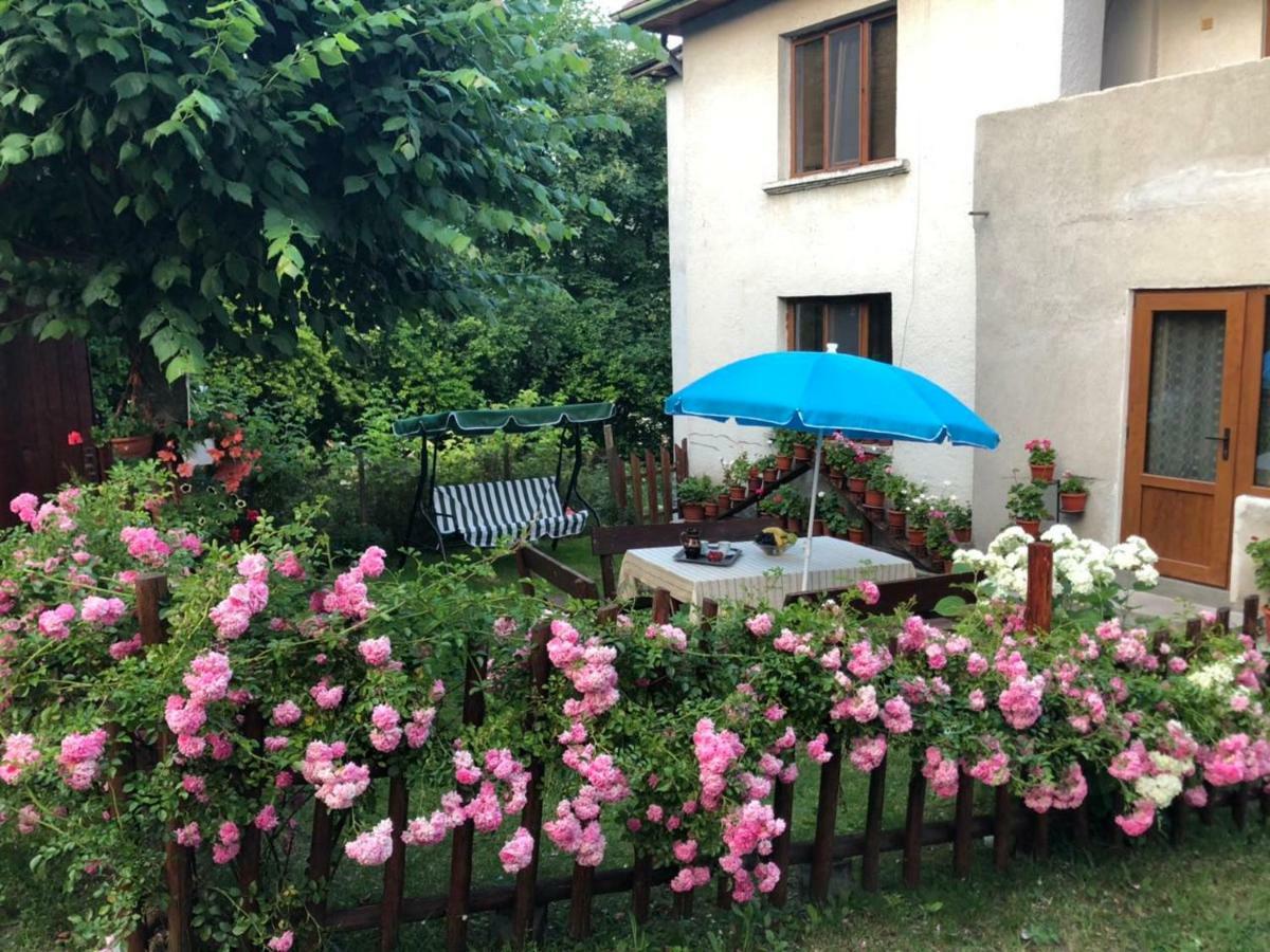 Guest House Emmy Trigrad Kültér fotó